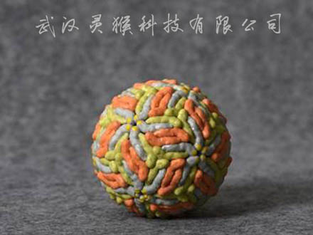 3D打印全彩色寨卡病毒模型無需后期上色