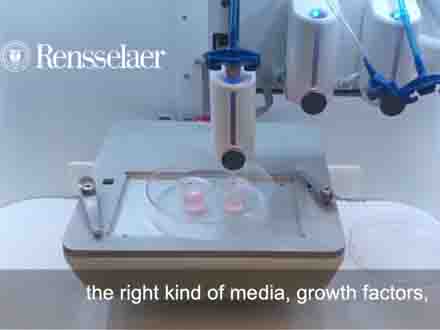 RPI 科學家在皮膚組織中3D打印毛囊，有望應用于再生醫學和藥物測試