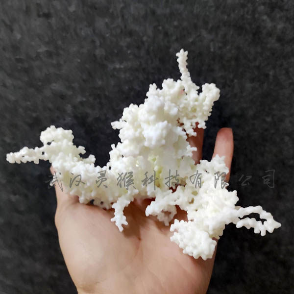 3D打印蛋白質Surface分子結構模型效果