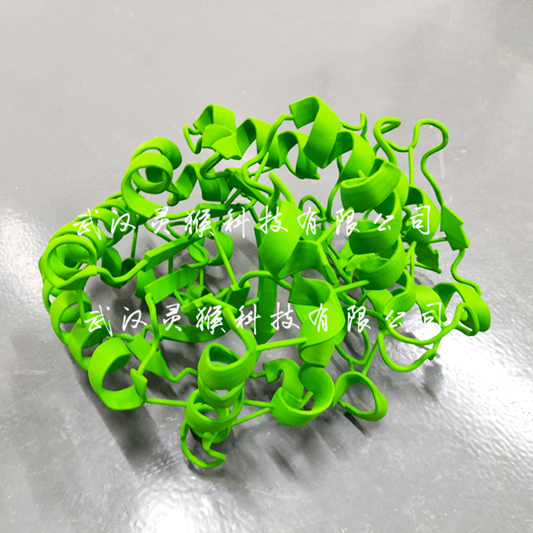 3D打印Cartoon樣式的水解酶晶體結構模型