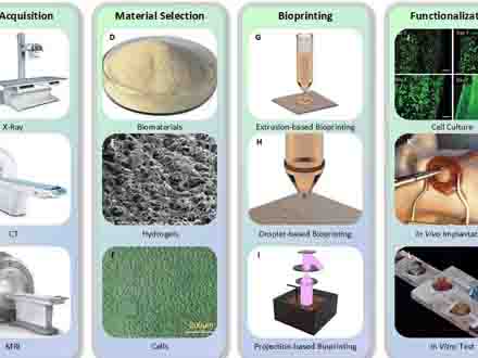 生物3D打印進展綜述：從打印方法到生物醫學應用