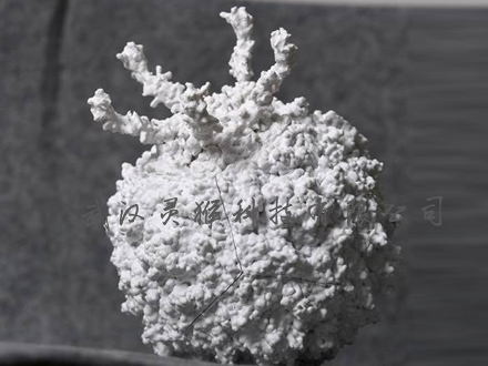 3D打印制作脊髓灰質炎病毒模型