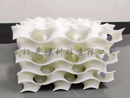3D打印定制多孔空心網格結構水凝膠模型